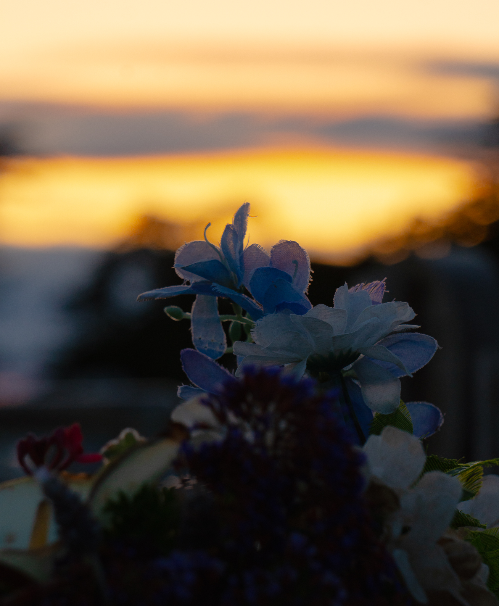 Photo by Regis, 2024