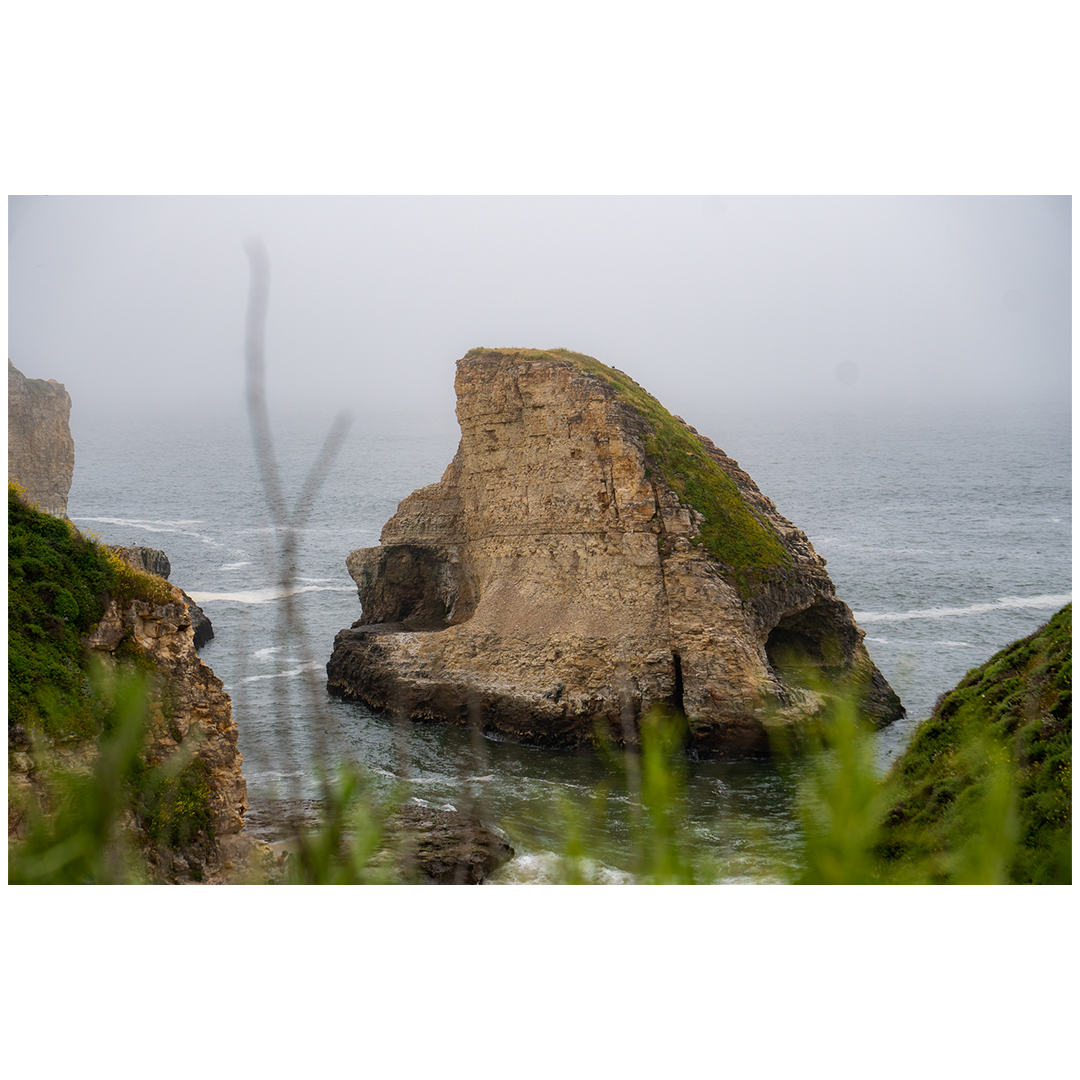 Photo by Regis, 2024
