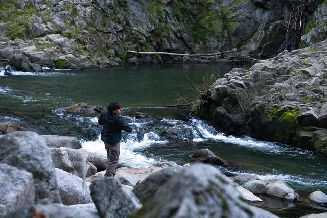 Photo by Regis, January 2025