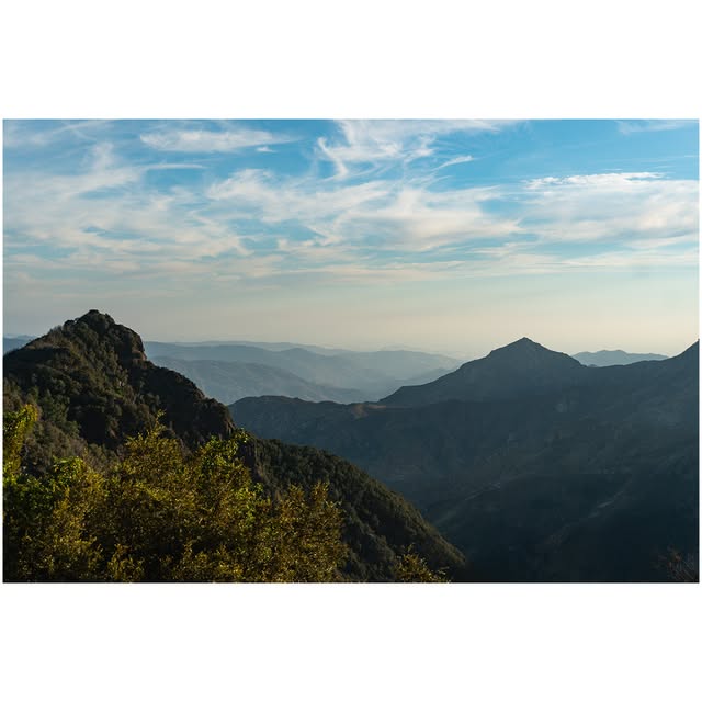 Photo by Regis, August 2024